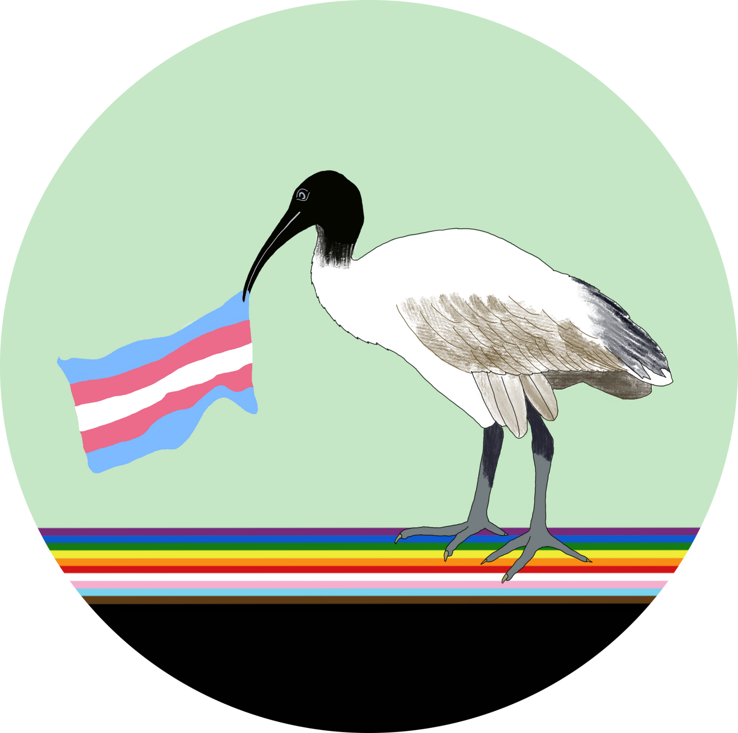 F. Bin Chicken Pride Flag Pins