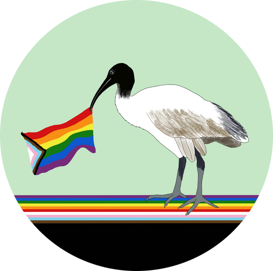 F. Bin Chicken Pride Flag Pins